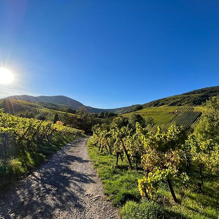 Chambre Du Vigneron - Domaine Leon Bleesz Reichsfeld Екстериор снимка