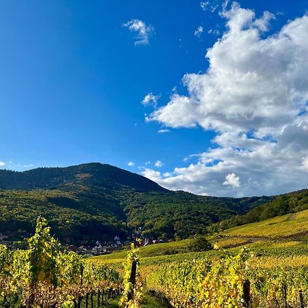 Chambre Du Vigneron - Domaine Leon Bleesz Reichsfeld Екстериор снимка